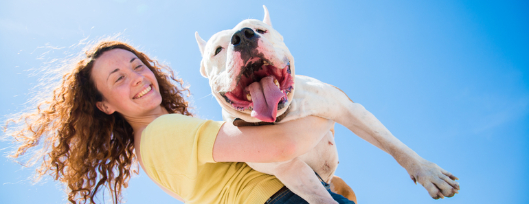 Artgerechte Hundehaltung: Wie man einen artgerecht hält | Haustier Blog
