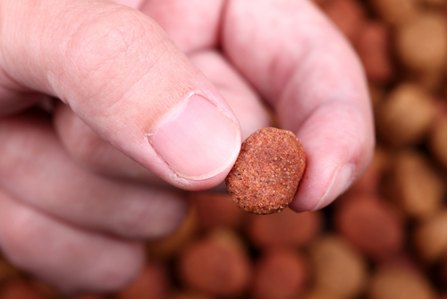 Trockenfutter Kroketten