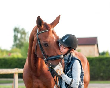 Pferdetraining - Richtig loben und belohnen