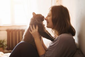 Neue Wohnung für die Katze